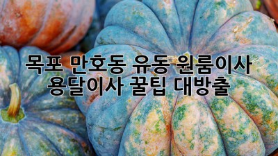 목포 만호동 유동 원룸이사 📦 용달이사 꿀팁 대방출! ✨